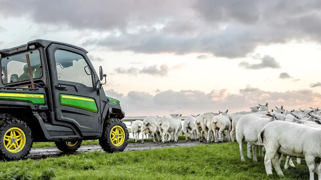 Serving the flock desktop 1024x576