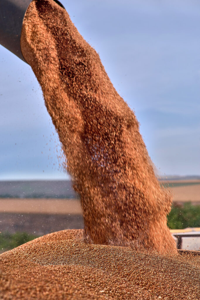 AdobeStock 291018167 683x1024