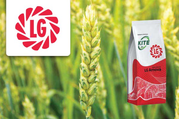 lg arnova_bg converta